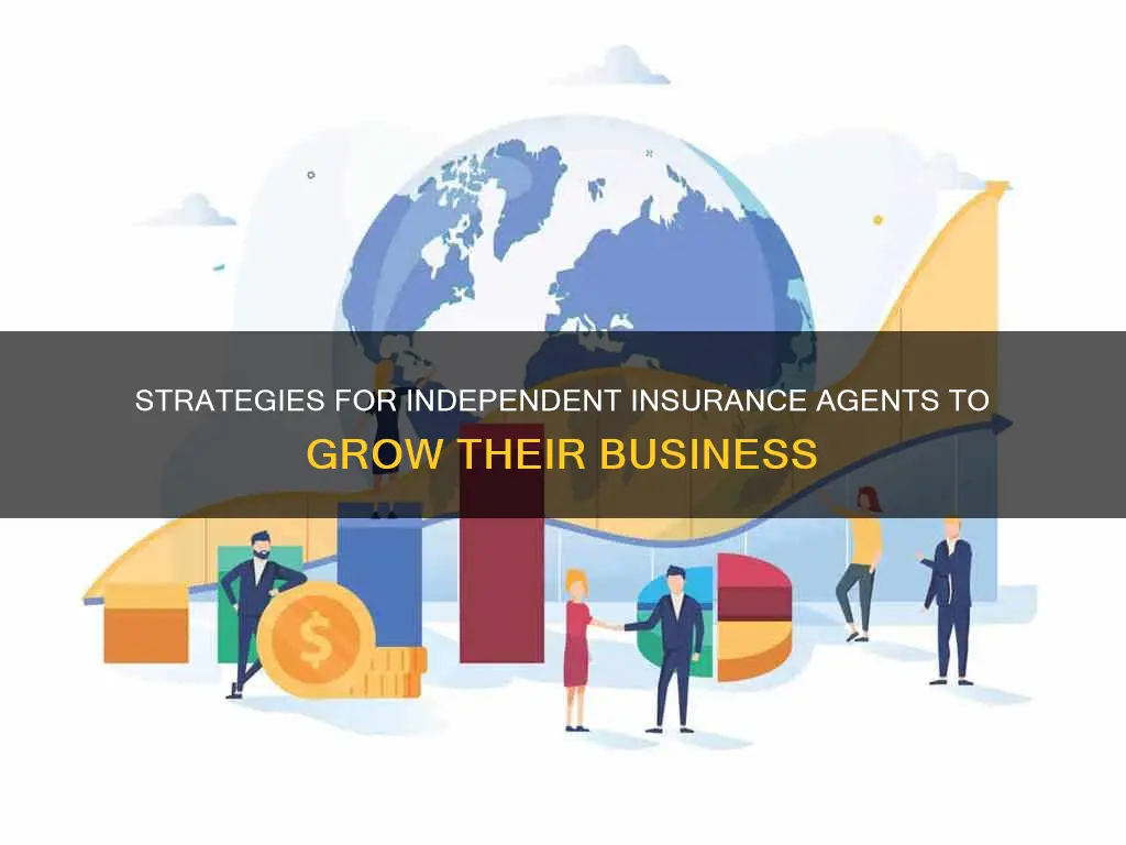 how does an independent insurance agent grow his business