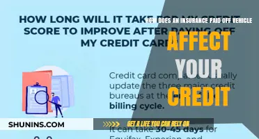 Vehicle Insurance and Credit: What's the Link?