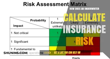 Understanding Underwriters: Calculating Insurance Risk