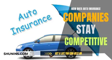 Auto Insurance Competition: Strategies for Staying Ahead in a Crowded Market