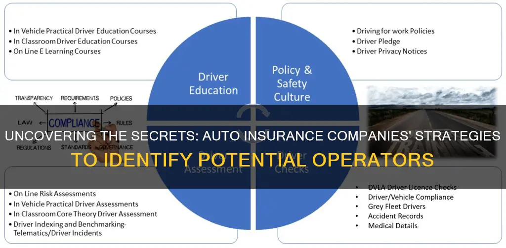 how does auto insurance company know of potential operators