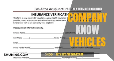 Unraveling the Secrets: Auto Insurance Companies' Vehicle Identification Methods