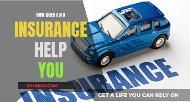 Auto Insurance: Your Safety Net on the Road