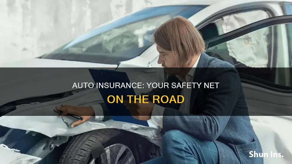 how does auto insurance help you