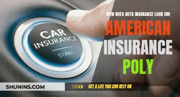 Unraveling the Complexities of Auto Insurance in the American Landscape