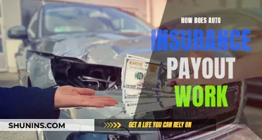 Auto Insurance Claims: Payout Process Explained