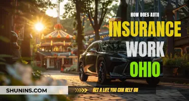 Understanding Auto Insurance in Ohio: What You Need to Know