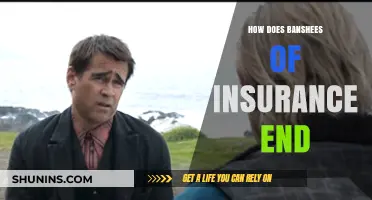 Unraveling the Banshees of Insurance: How Does Their Story Conclude?