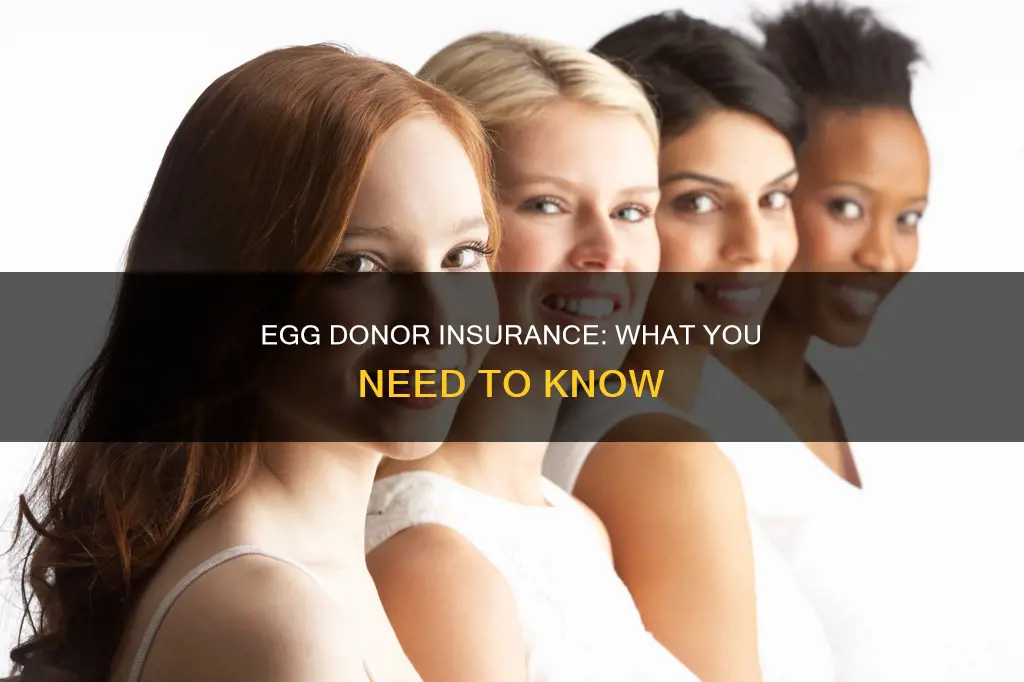 how does being an egg donor affect insurance