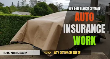 Blanket Coverage Auto Insurance: Comprehensive Protection for Your Fleet