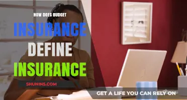 Understanding Budget Insurance: Defining Insurance Basics and Coverage Essentials