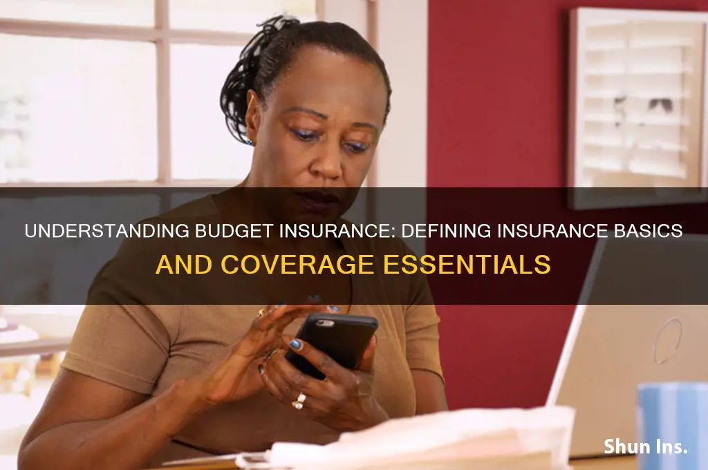 how does budget insurance define insurance