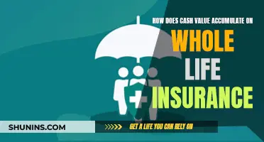 Whole Life Insurance: Cash Value Accumulation Explained