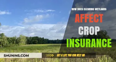 Wetland Loss: Impact on Crop Insurance and Farming