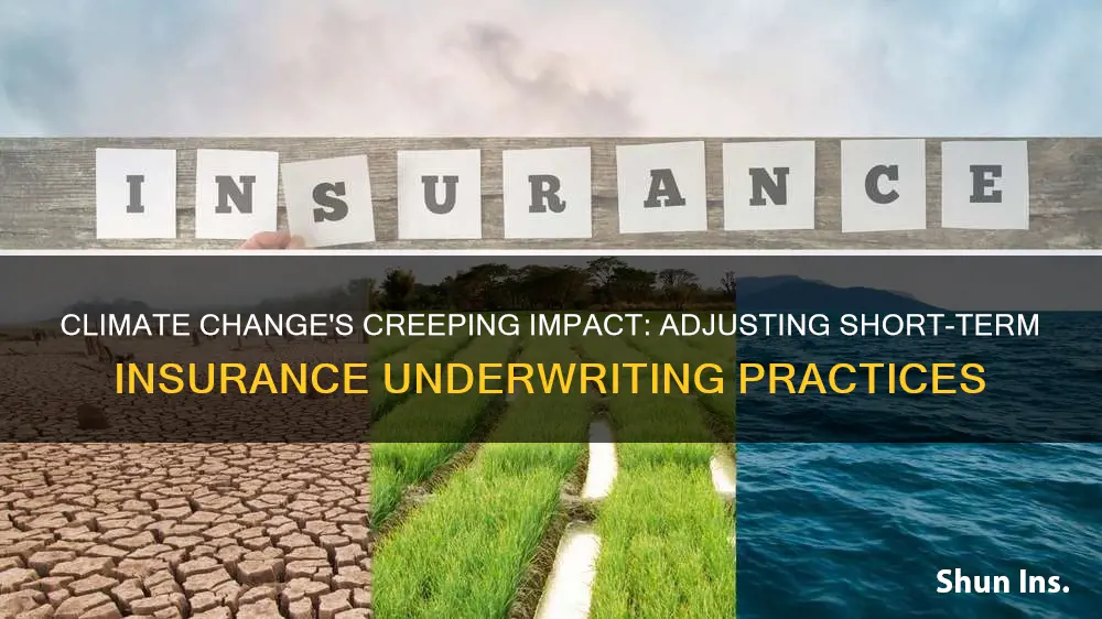 how does climate change impact short term insurance underwriting practices