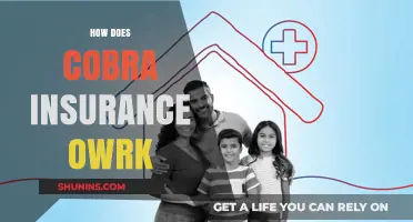 Understanding COBRA Insurance: How It Works and Who Qualifies