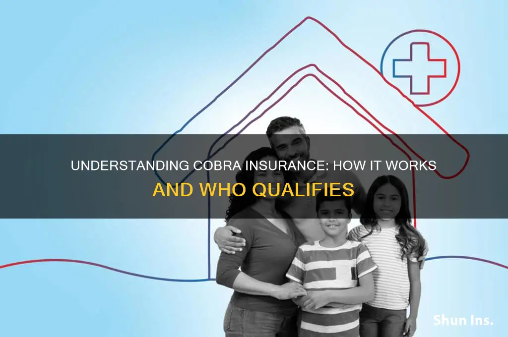 how does cobra insurance owrk