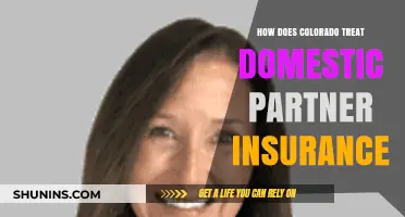 Colorado's Domestic Partner Insurance: Coverage, Benefits, and Legal Insights