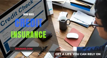Understanding Credit Insurance: Benefits, Costs, and How It Protects Your Finances