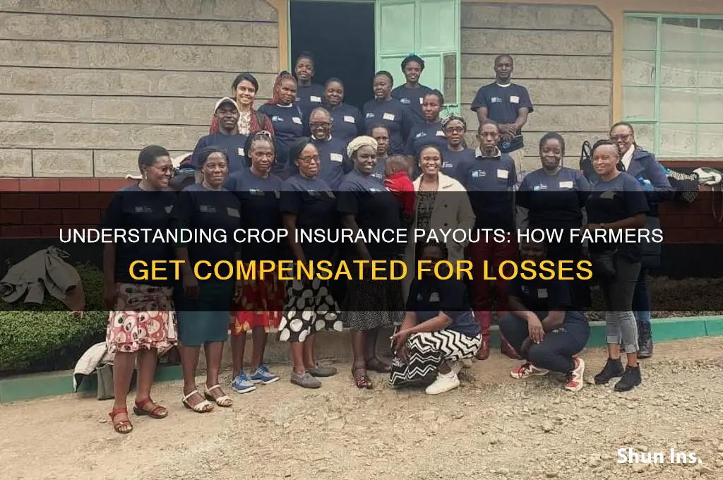 how does crop insurance payout