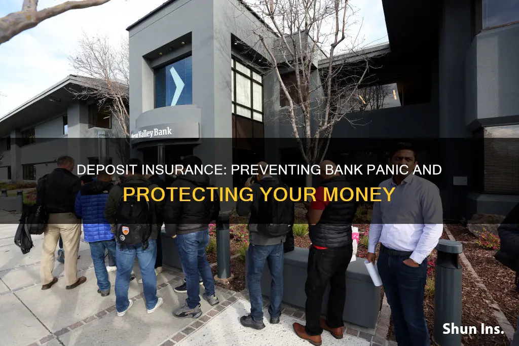 how does deposit insurance help prevent a bank panic