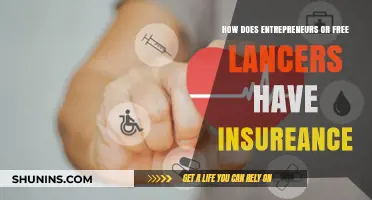 Entrepreneurs and Freelancers: Navigating Insurance Options for Self-Employed Success