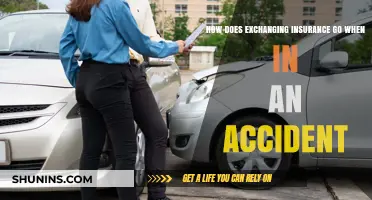 Insurance Exchange: What to Do After a Collision