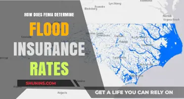 FEMA's Flood Insurance Rates: What Determines the Cost?