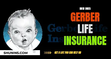 Gerber Life Insurance: What You Need to Know