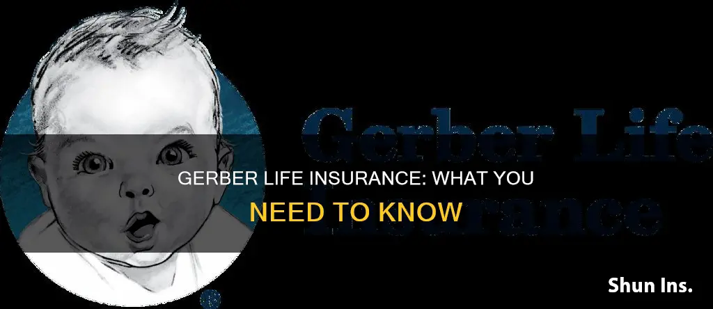 how does gerber life insurance