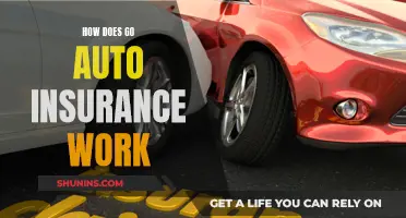 Go Auto Insurance: Understanding the Basics and Benefits