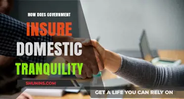 Ensuring Domestic Tranquility: Government Strategies for Peace and Stability
