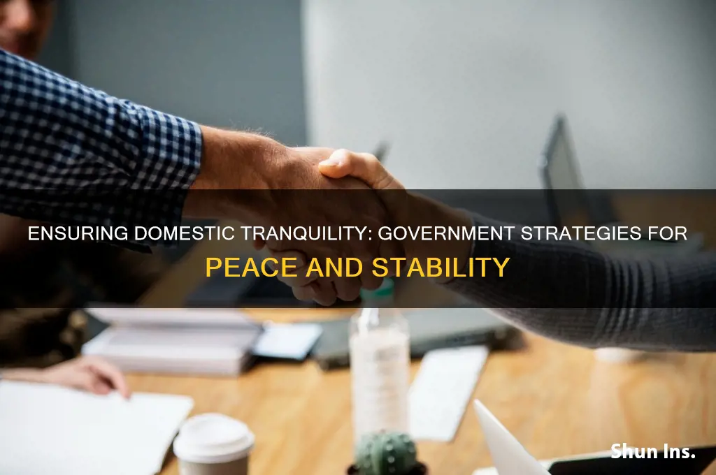 how does government insure domestic tranquility