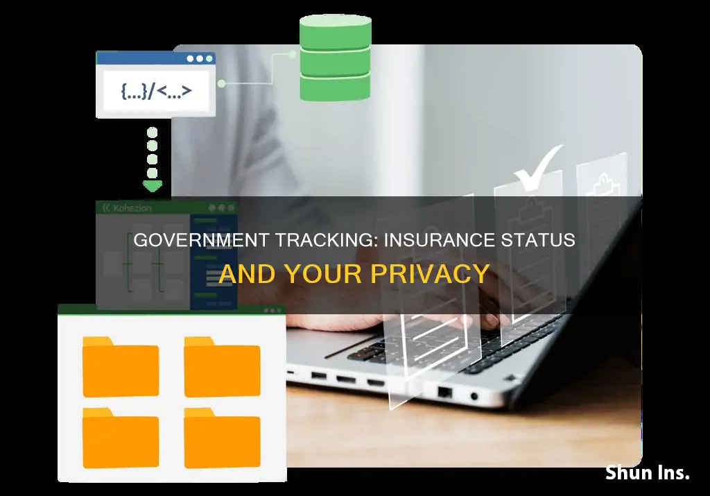 how does government know if I have insurance