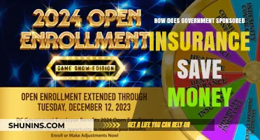 Government-Sponsored Insurance: Saving Money, Saving Citizens