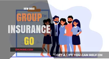 Group Insurance: Benefits and Functionality