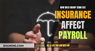 Group Term Life Insurance: Payroll Impact and Benefits