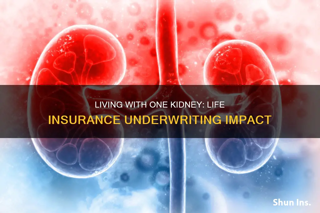 how does having one kidney affect life insurance underwriting