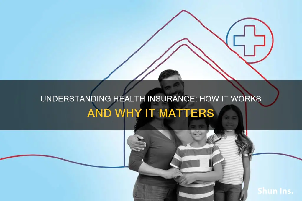 how does health insurance woprk