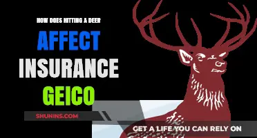 Deer Collisions: GEICO Insurance Coverage and Claims