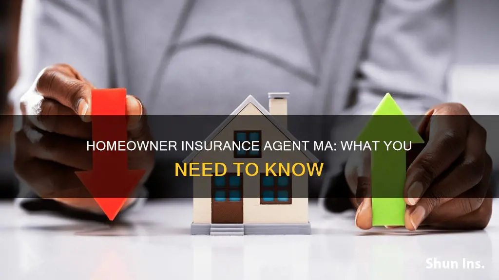 how does homeowner insurance agent ma