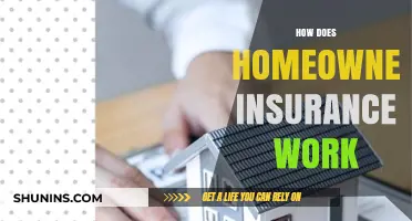 Understanding Homeowner Insurance: What You Need to Know