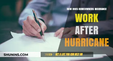 Navigating Homeowners Insurance After a Hurricane: What You Need to Know