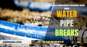 Homeowners Insurance: What to Do When Pipes Burst