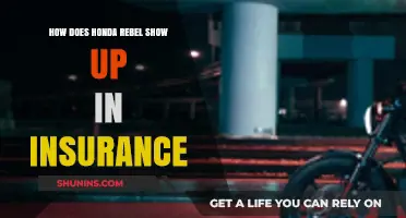 Honda Rebel Insurance Insights: Costs, Coverage, and Savings Tips