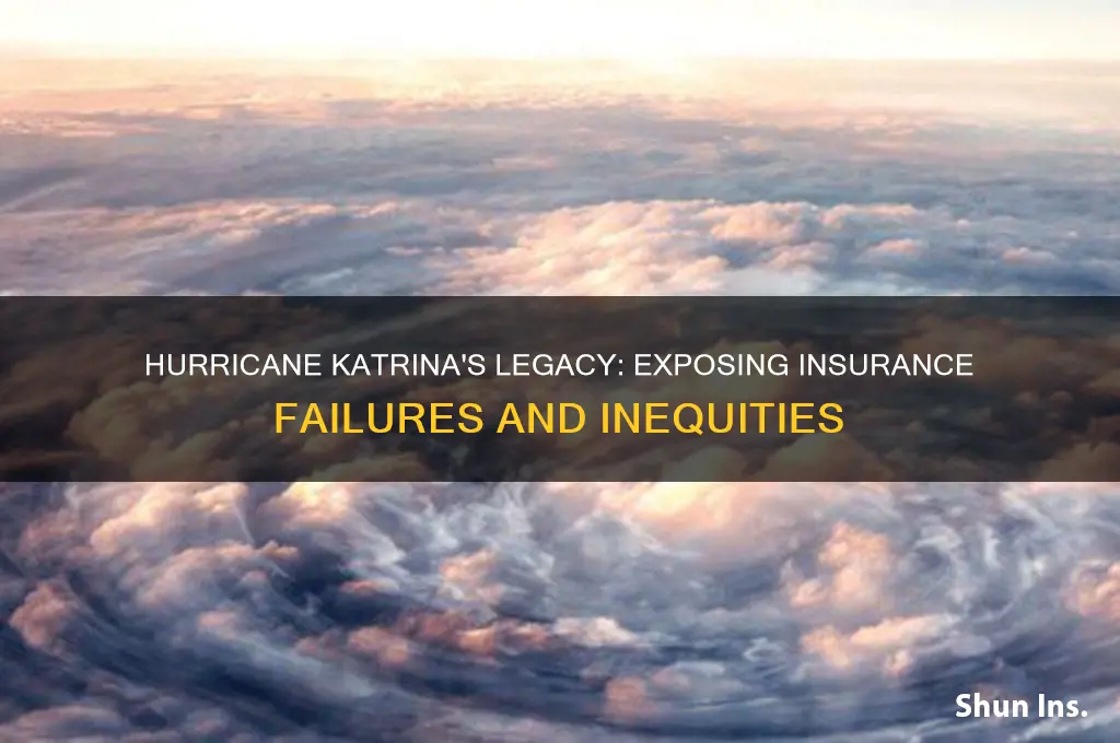 how does hurricane katrina illustrate the problem with insurance