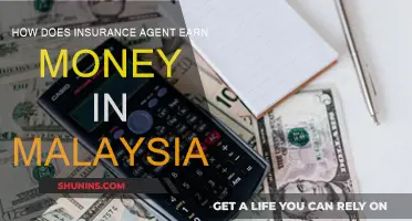 Insurance Agents: Earning Money in Malaysia
