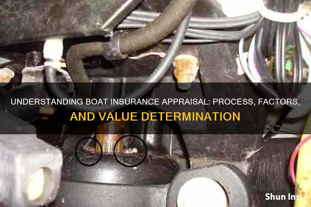 how does insurance appraise boat