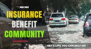 Insurance's Role in Strengthening Community Resilience and Shared Prosperity
