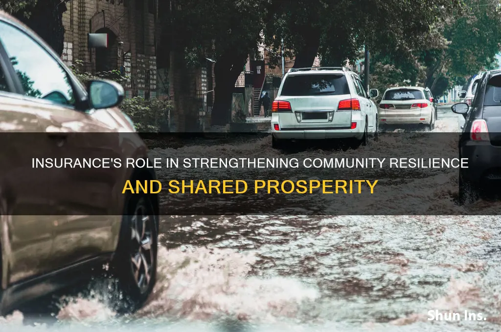 how does insurance benefit community